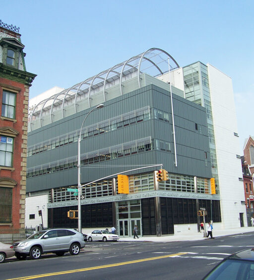 New-York-Public-School-210-cable-mesh-rooftop-enclosure-carl-stahl-decorcable3 Twenty-First Century Academy for Community Leadership, PSIS210, New York