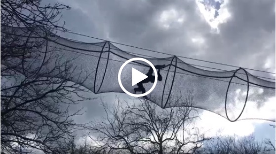 Zoo Enclosures | Carl Stahl DecorCable