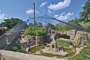 Hannover Zoo Enclosure with Cable Mesh- Carl Stahl DecorCable