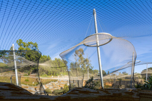 SanDiego-Zoo-Africa-Rocks1 San Diego Zoo Africa Rocks Exhibit
