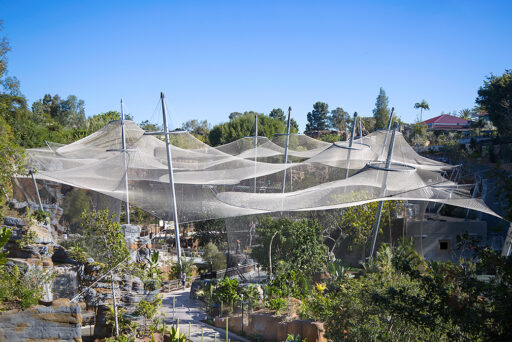 SanDiego-Zoo-Africa-Rocks4 San Diego Zoo Africa Rocks Exhibit with Cable Mesh Enclosures - Carl Stahl DecorCable