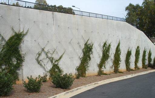 Samsung Lou Walker Senior Center Cable Trellis - Carl Stahl DecorCable