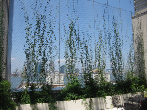 Battery-Park-City-School-Green-facade-Carl-Stahl-DecorCable Battery Park City School - Carl Stahl DecorCable