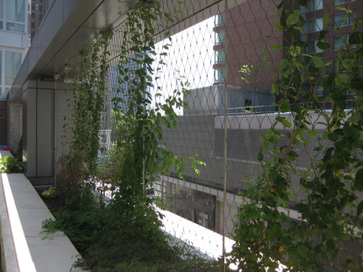 Battery Park City School2