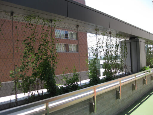 Battery Park City School3 Battery Park City School