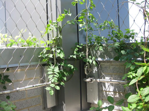 Battery Park City School4 Battery Park City School