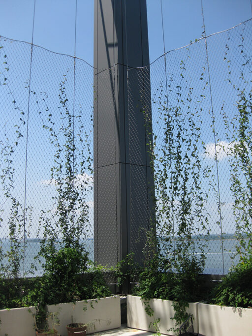 Battery Park City School5 Battery Park City School