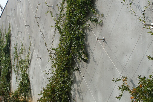 Lou Walker Senior Center Cable Trellis - Carl Stahl DecorCable