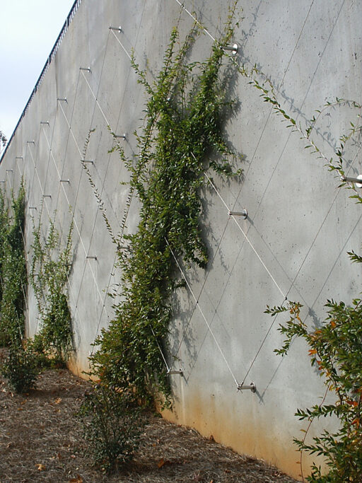 Lou Walker Senior Center - Carl Stahl DecorCable Lou Walker Senior Center Cable Trellis - Carl Stahl DecorCable