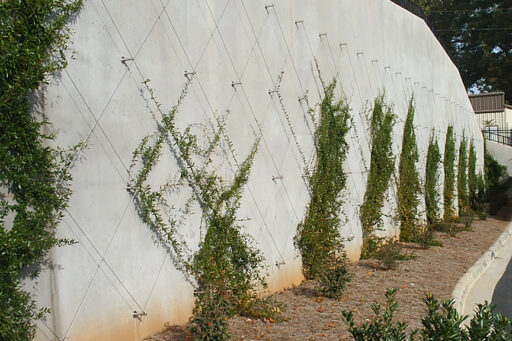 Lou Walker Senior Center Cable Trellis - Carl Stahl DecorCable