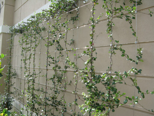 Retail Shopping Center - Carl Stahl DecorCable Retail Shopping Center - Green Wall - Carl Stahl DecorCable