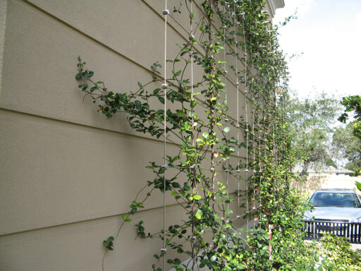 Retail-Shopping-Center-Green-Wall-Carl-Stahl-DecorCable5 Stainless steel greenery system for retail shopping center - Carl Stahl DecorCable