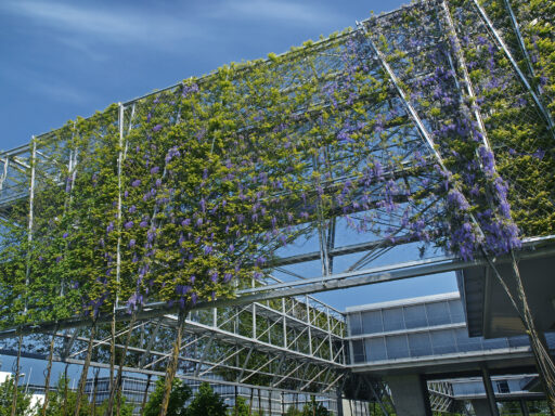 Swiss Re_Cable Mesh Green Wall Swiss Re Cable Mesh Green Wall - Carl Stahl