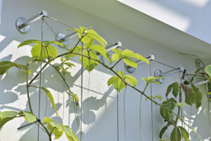 stainless steel cable system for green wall