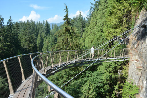 Capilano Gorge-X-TEND-Cable-Mesh-Carl-Stahl-DecorCable