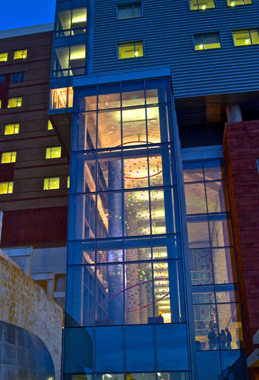 "Foxglove" by Ed Carpenter at University Tower Hospital, San Antonio, TX.